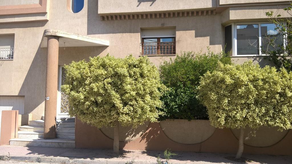 Dar Aloulou Leilighet Tunis Eksteriør bilde